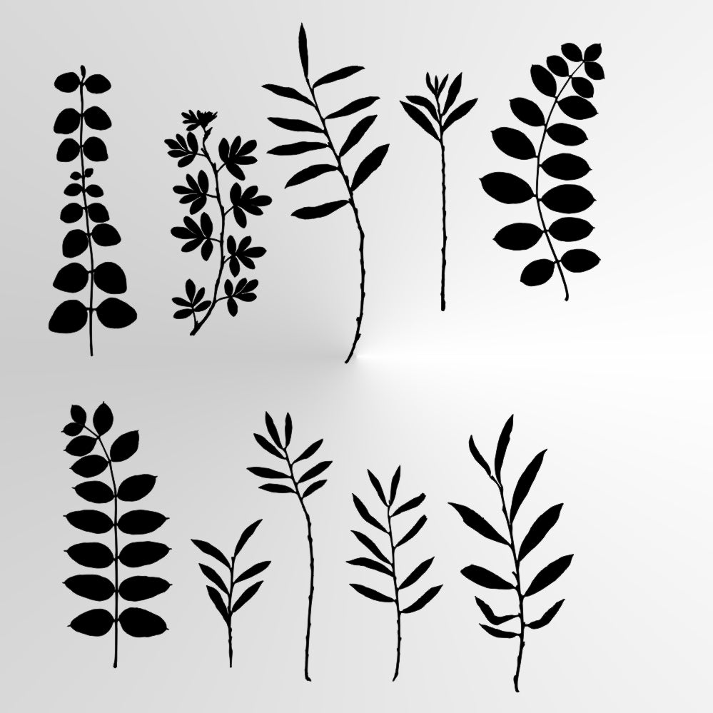 BOTANICAL WILD Leaves Grass Reusable Stencil A3 A4 A5 & Bigger Sizes Shabby Chic Nature Mylar / Wild2