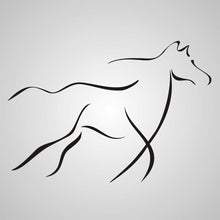 ARTISTIC HORSE SKETCH Sizes Reusable Stencil Animal Romantic Style 'Animal6'