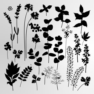 BOTANICAL WILD HERBS AND FLOWERS Sizes Reusable Stencil Shabby Chic Romantic Style 'Wild1'