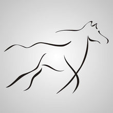 HORSE SKETCH Big & Small Sizes Colour Wall Sticker Animal Romantic Style 'Animal6'