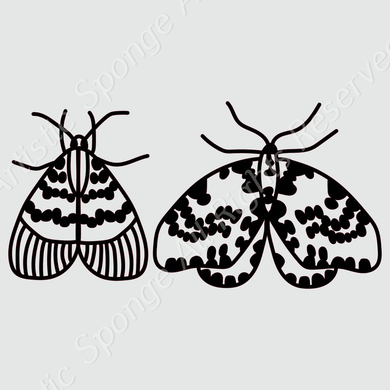 Moth Fly Housefly Reusable Stencil A5 A4 A3 & Larger Insects Shabby Chic Craft 'Animal152'