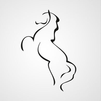 WILD HORSE ARTISTIC SKETCH Big & Small Sizes Colour Wall Sticker Animal Romantic Style 'Animal9'