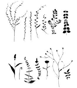 BOTANICAL WILD Leaves Grass Reusable Stencil A3 A4 A5 & Bigger Sizes Shabby Chic Nature Mylar / Wild3