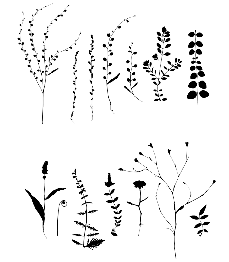 BOTANICAL WILD Leaves Grass Reusable Stencil A3 A4 A5 & Bigger Sizes Shabby Chic Nature Mylar / Wild3