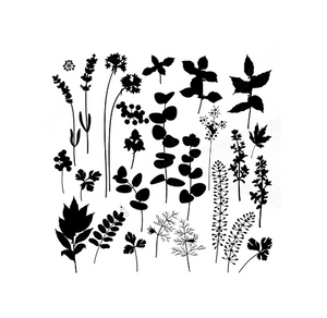 BOTANICAL WILD HERBS AND FLOWERS Big & Small Sizes Colour Wall Sticker Floral Shabby Chic Style 'Wild1'
