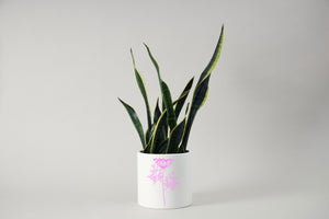 FENNEL'S BUNCH Sizes Reusable Stencil Shabby Chic Floral Romantic Style 'Flora55'