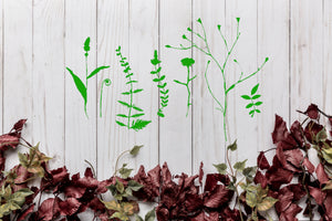 BOTANICAL WILD Leaves Grass Reusable Stencil A3 A4 A5 & Bigger Sizes Shabby Chic Nature Mylar / Wild13