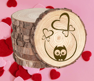 Rustic Wood Coasters Present Engraved Valentine's Birthday Mother Love Owl Kid5