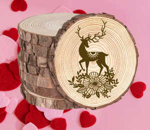 Rustic Wood Coasters Present Gift Engraved Valentine's Wedding Deer Love Snow51